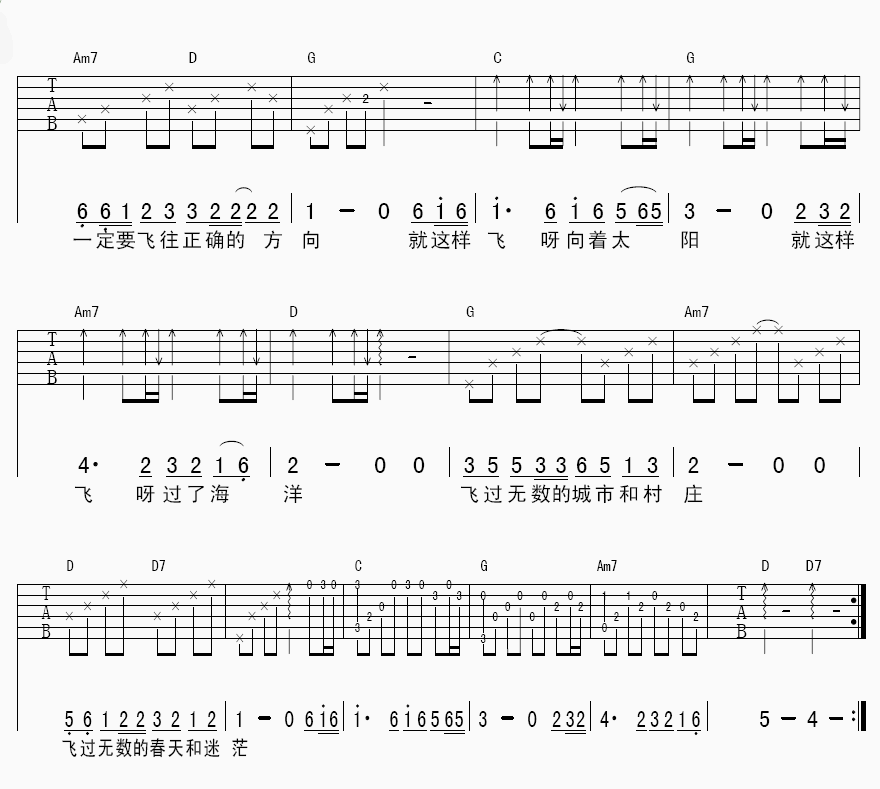 洪启 我是一只离群的鸟吉他谱-C大调音乐网