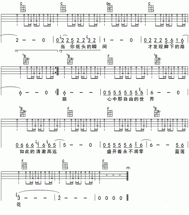 《蓝莲花》- 许巍 尤克里里弹唱谱-C大调音乐网