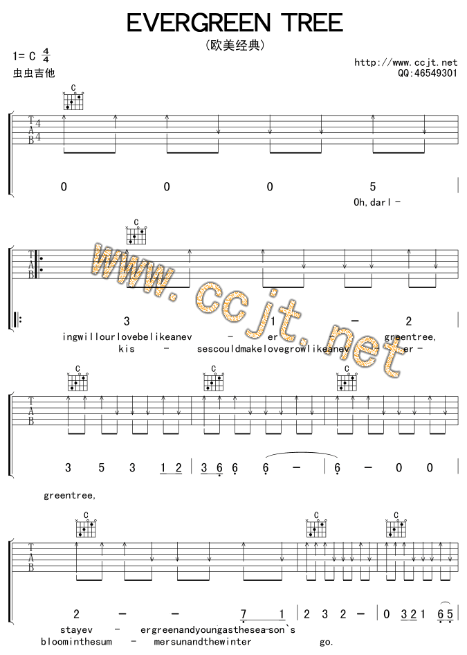 《evergreen tree》吉他谱-C大调音乐网