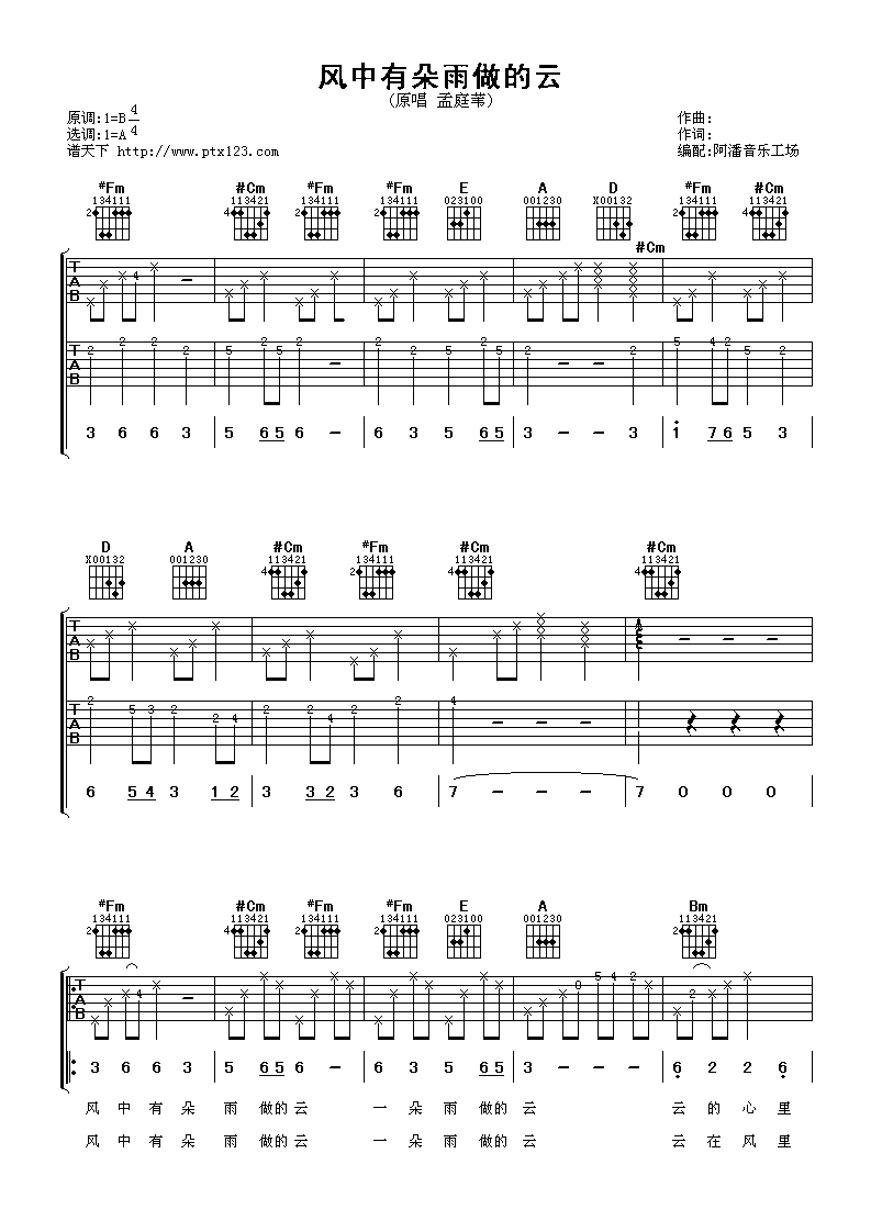 孟庭苇 风中有朵雨做的云吉他谱-C大调音乐网