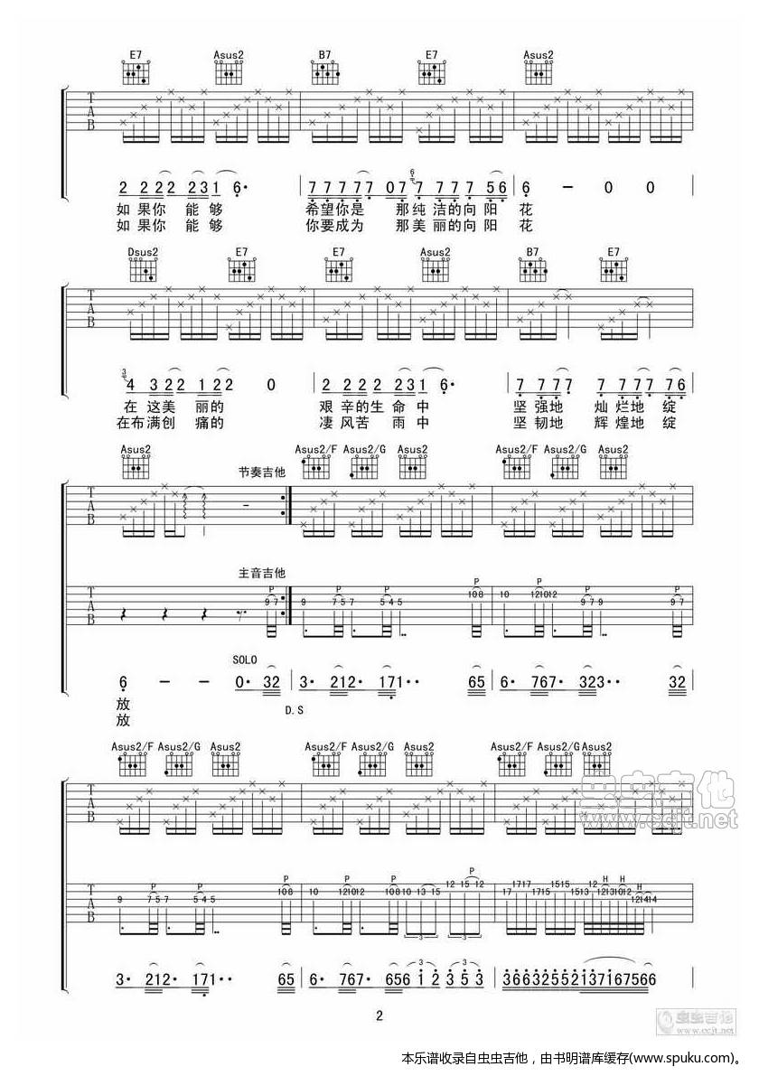 《【全网首发】汪峰《向阳花》完整版吉他谱【蚂蚁制谱】》吉他谱-C大调音乐网