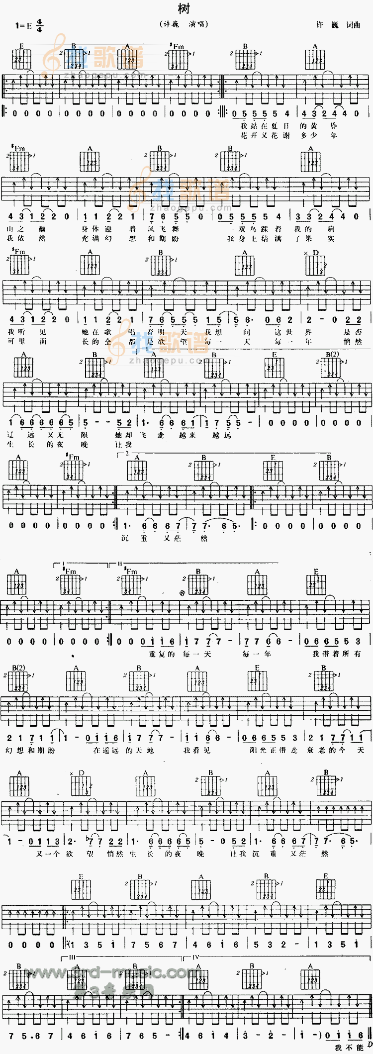 《树》吉他谱-C大调音乐网