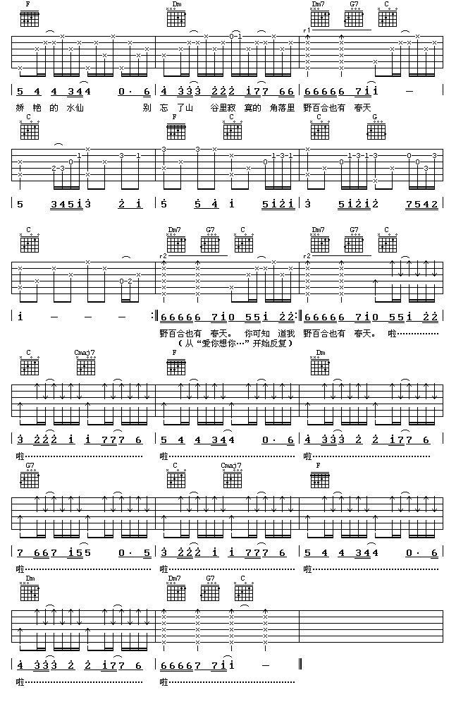 野百合也有春天-C大调音乐网