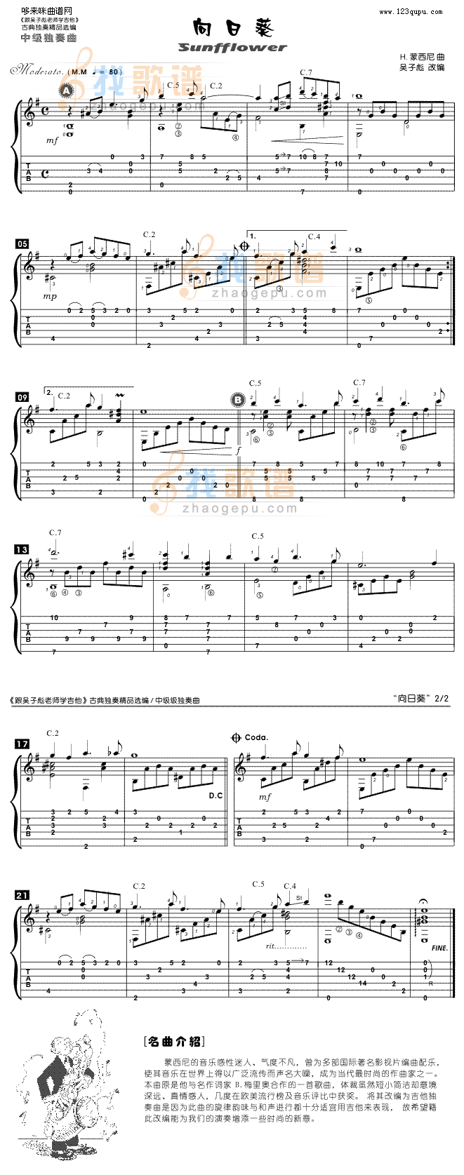 《向日葵》吉他谱-C大调音乐网