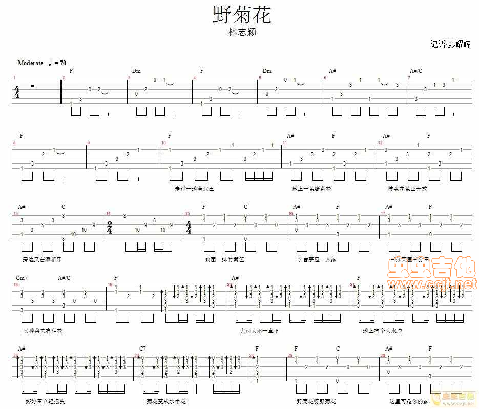 《野菊花—林志颖》吉他谱-C大调音乐网