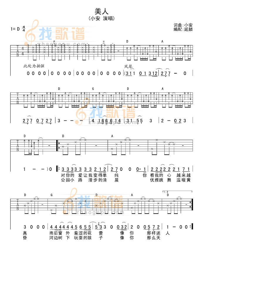 《美人》吉他谱-C大调音乐网