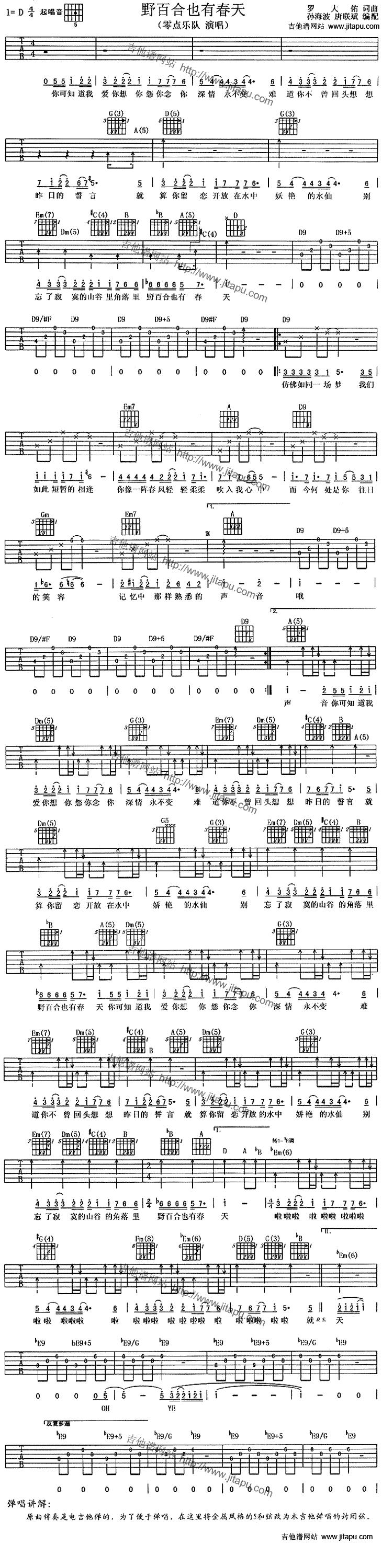 野百合也有春天-C大调音乐网