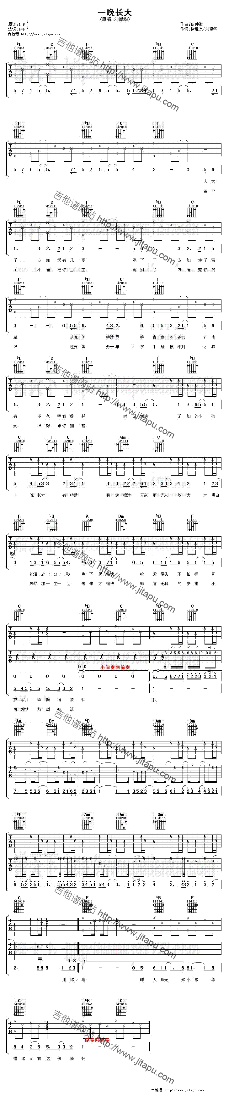 一晚长大-C大调音乐网
