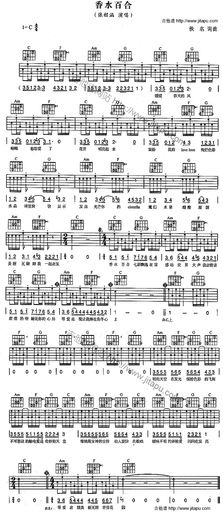 香水百合-C大调音乐网