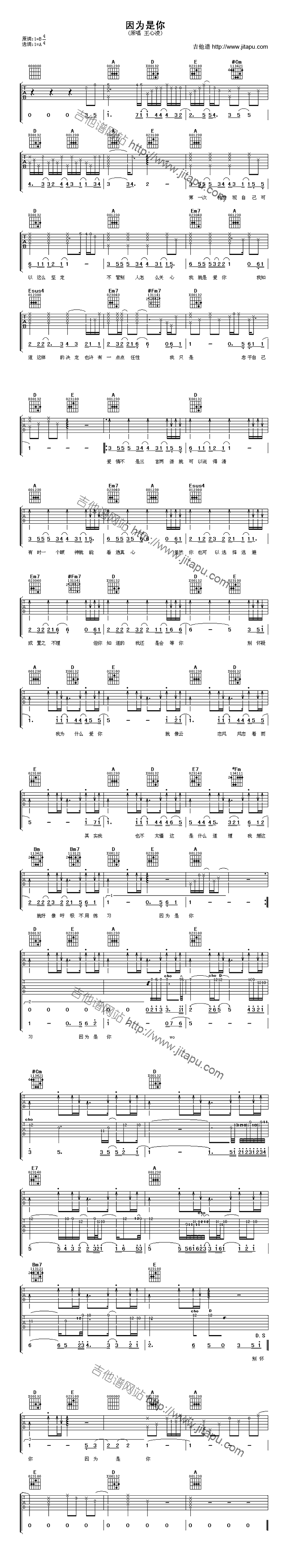 因为是你-C大调音乐网