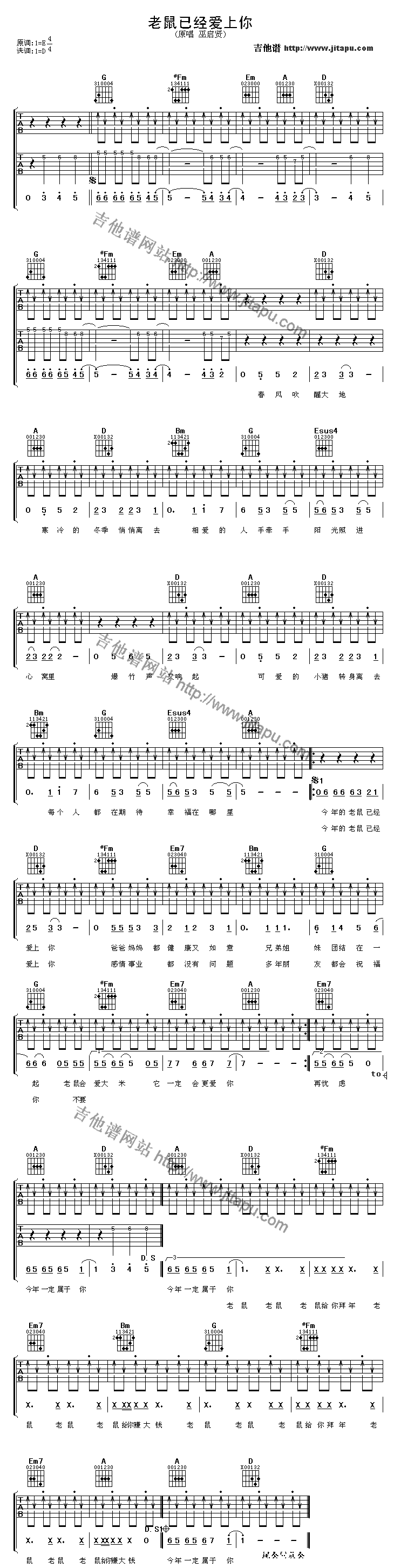 老鼠已经爱上你-C大调音乐网