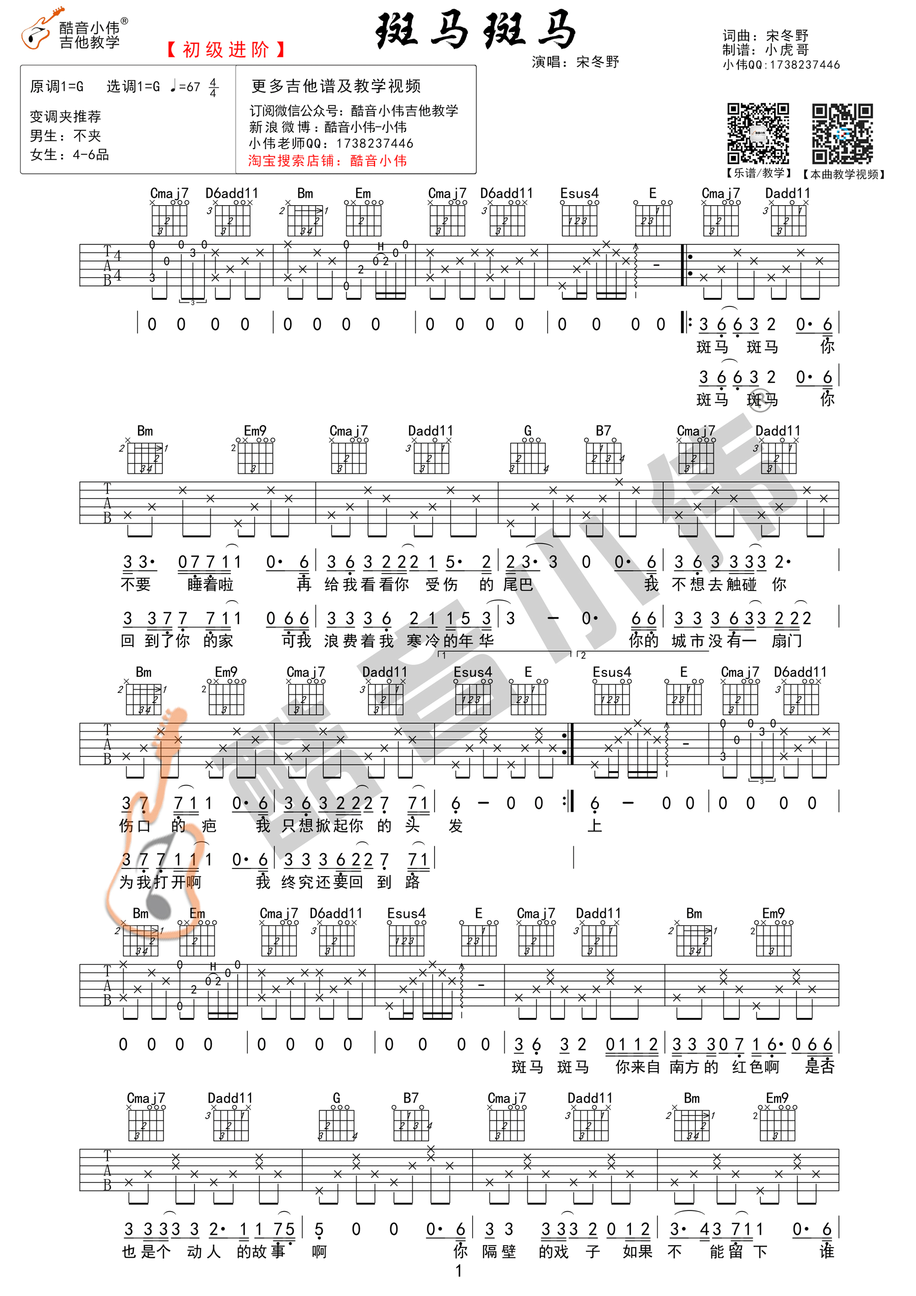 斑马斑马(酷音小伟吉他教学)-C大调音乐网