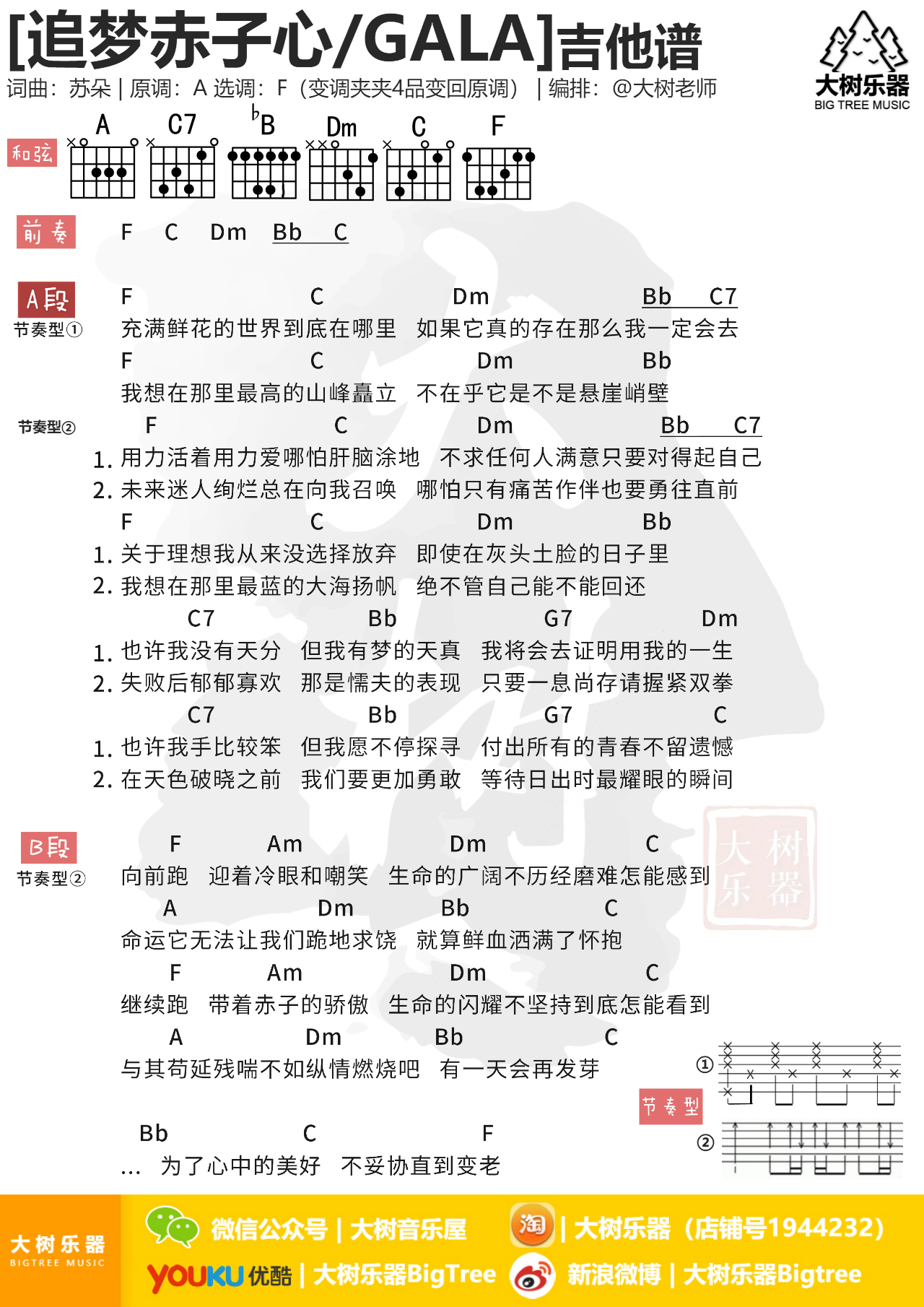 追梦赤子心(大树乐器-大树音乐)-C大调音乐网