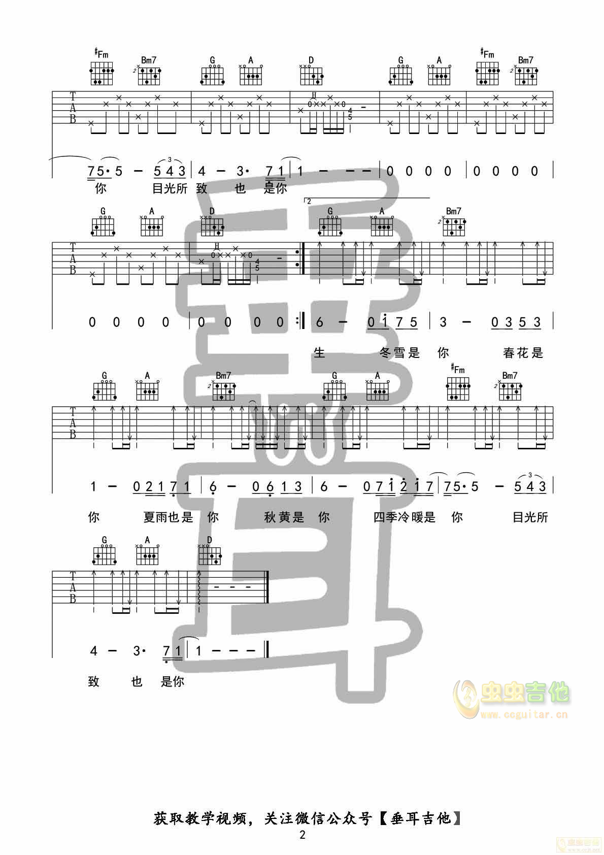 《往后余生》垂耳吉他弹唱+教学-C大调音乐网