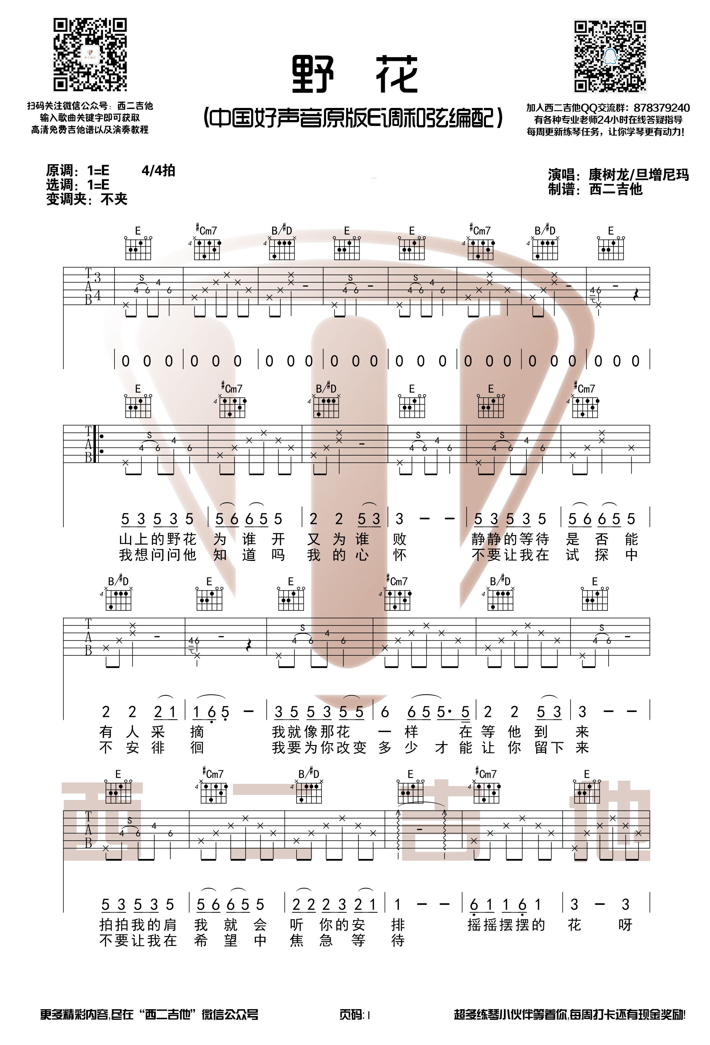 野花(中国好声音 康树龙/旦增尼玛)【西二吉他】-C大调音乐网