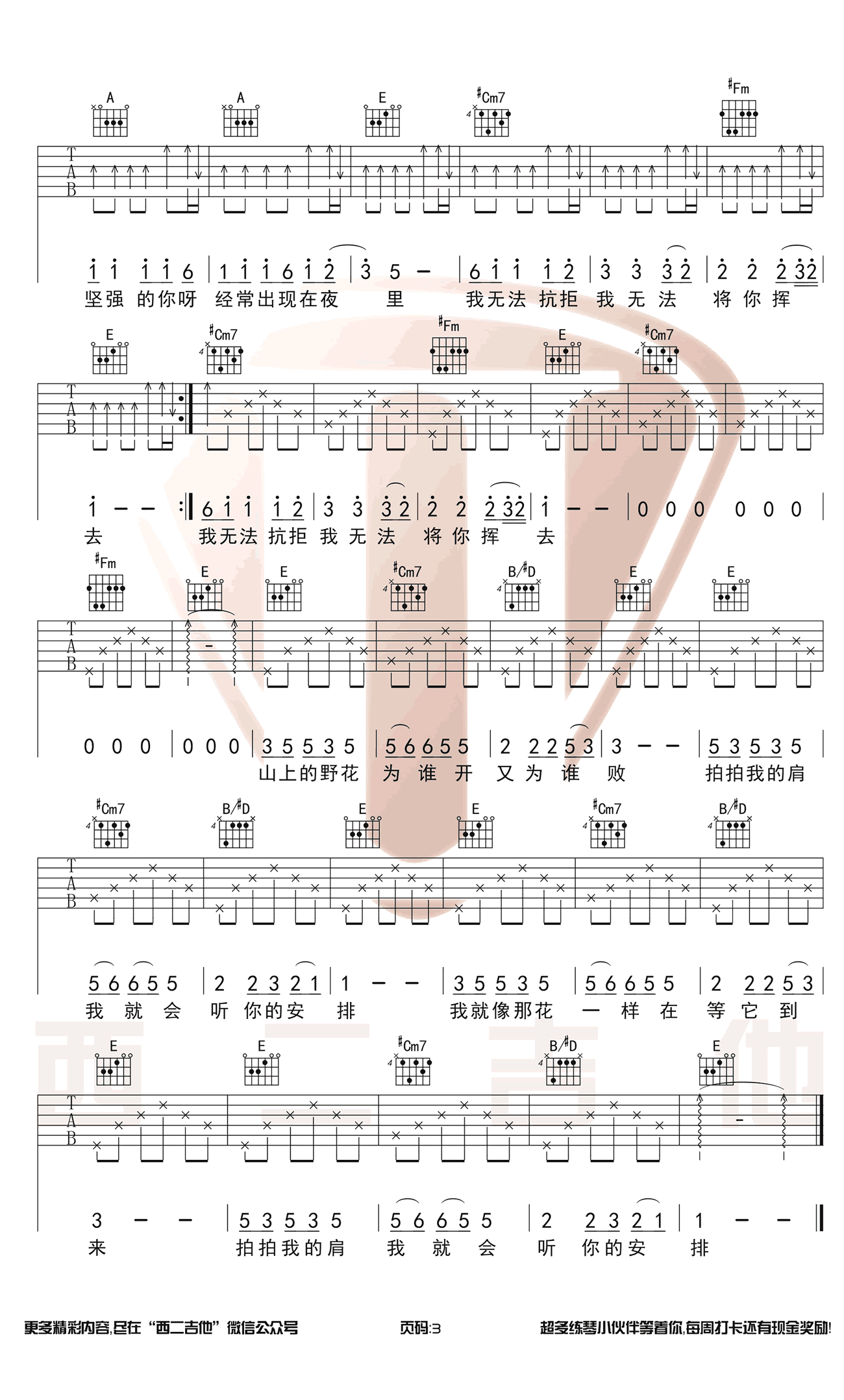 野花吉他谱_好声音康树龙/旦增尼玛_E调原版_图片谱-C大调音乐网