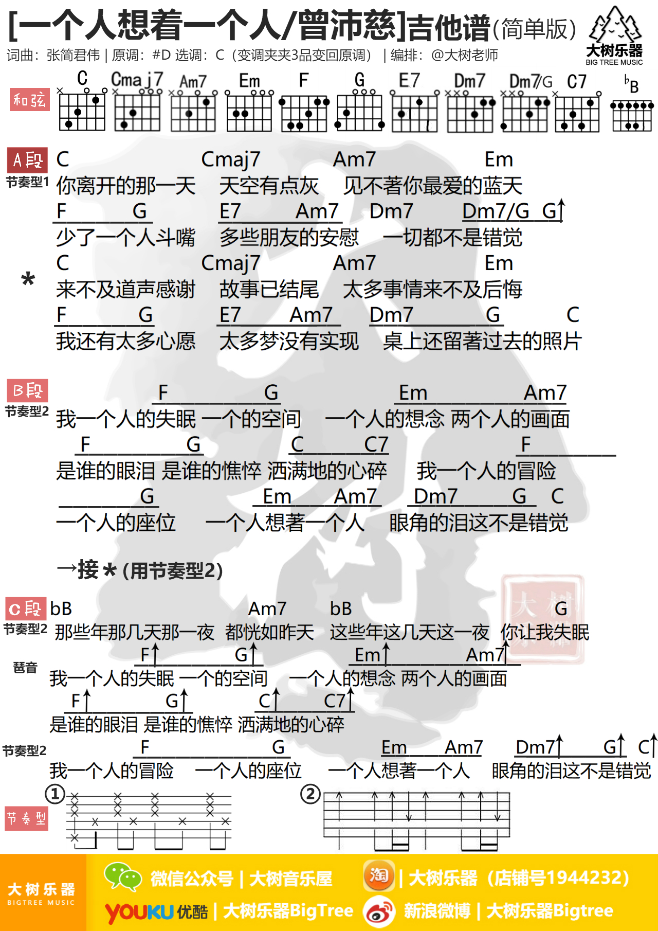 一个人想着一个人(吉他弹唱教学-大树乐器-大树音乐)-C大调音乐网