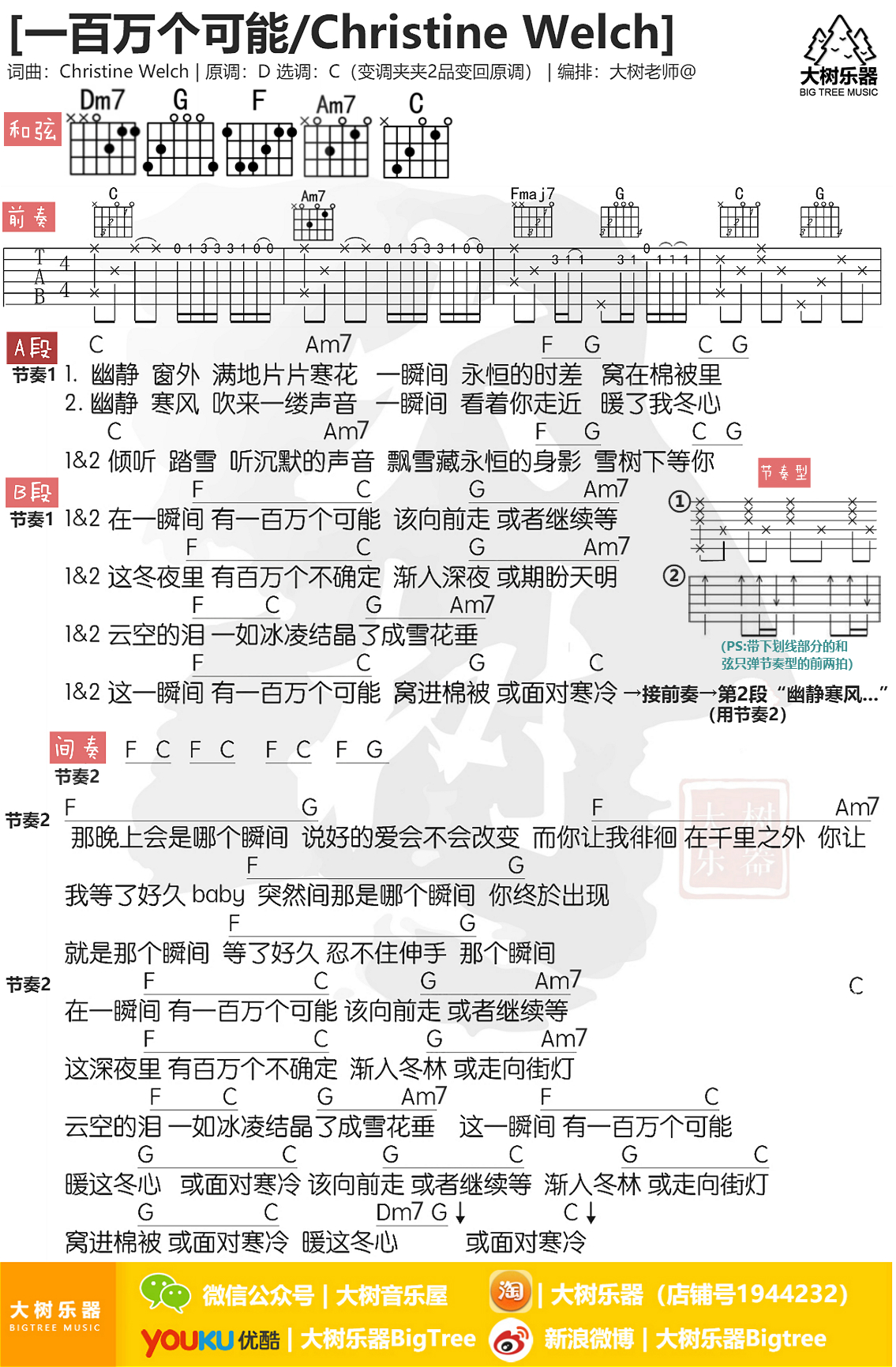 一百万个可能(大树乐器-大树音乐)-C大调音乐网