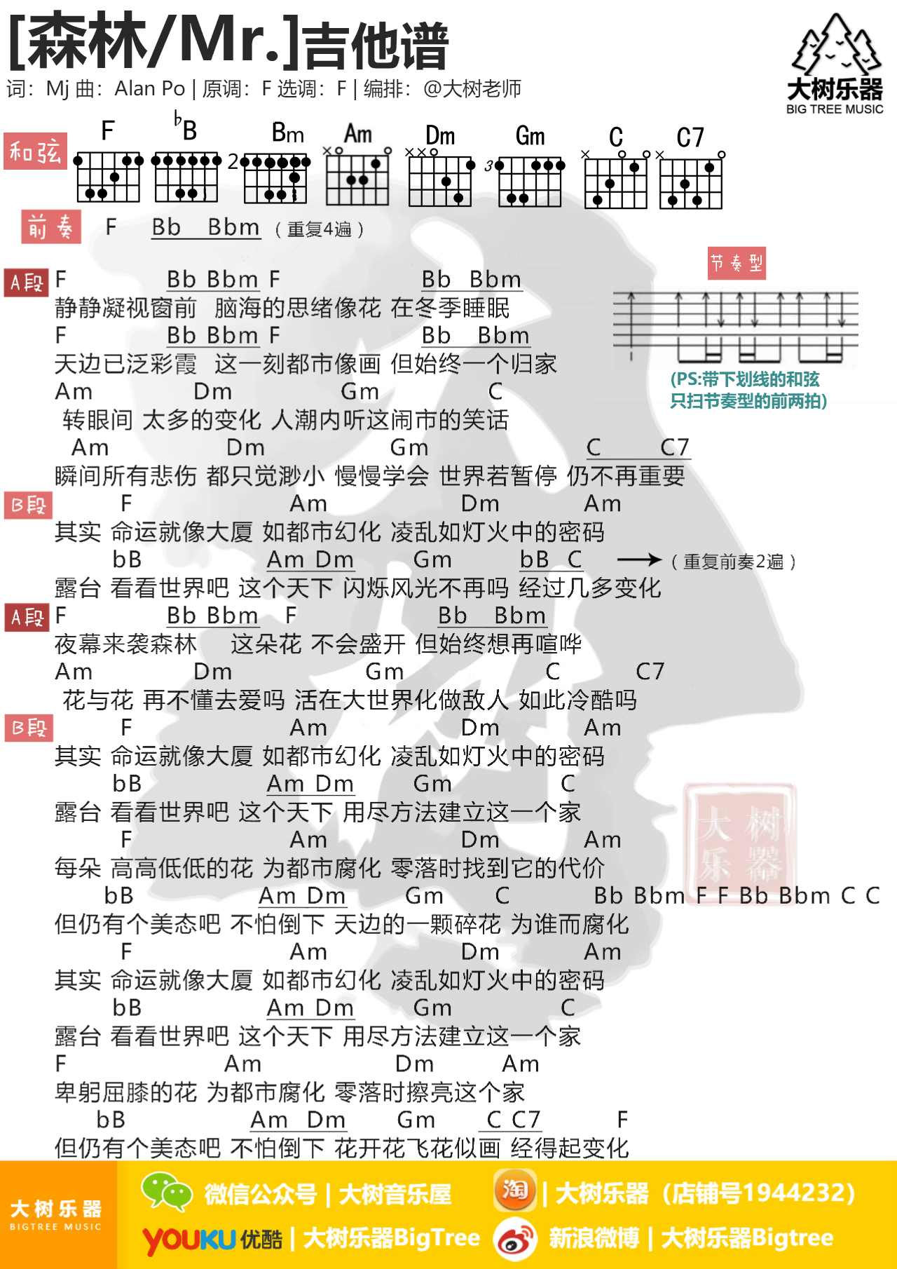 《森林》Mr.-吉他弹唱翻唱-吉他谱-和弦谱-大树乐器-大树音乐-C大调音乐网