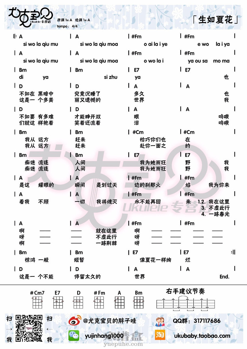 生如夏花-朴树-C大调音乐网