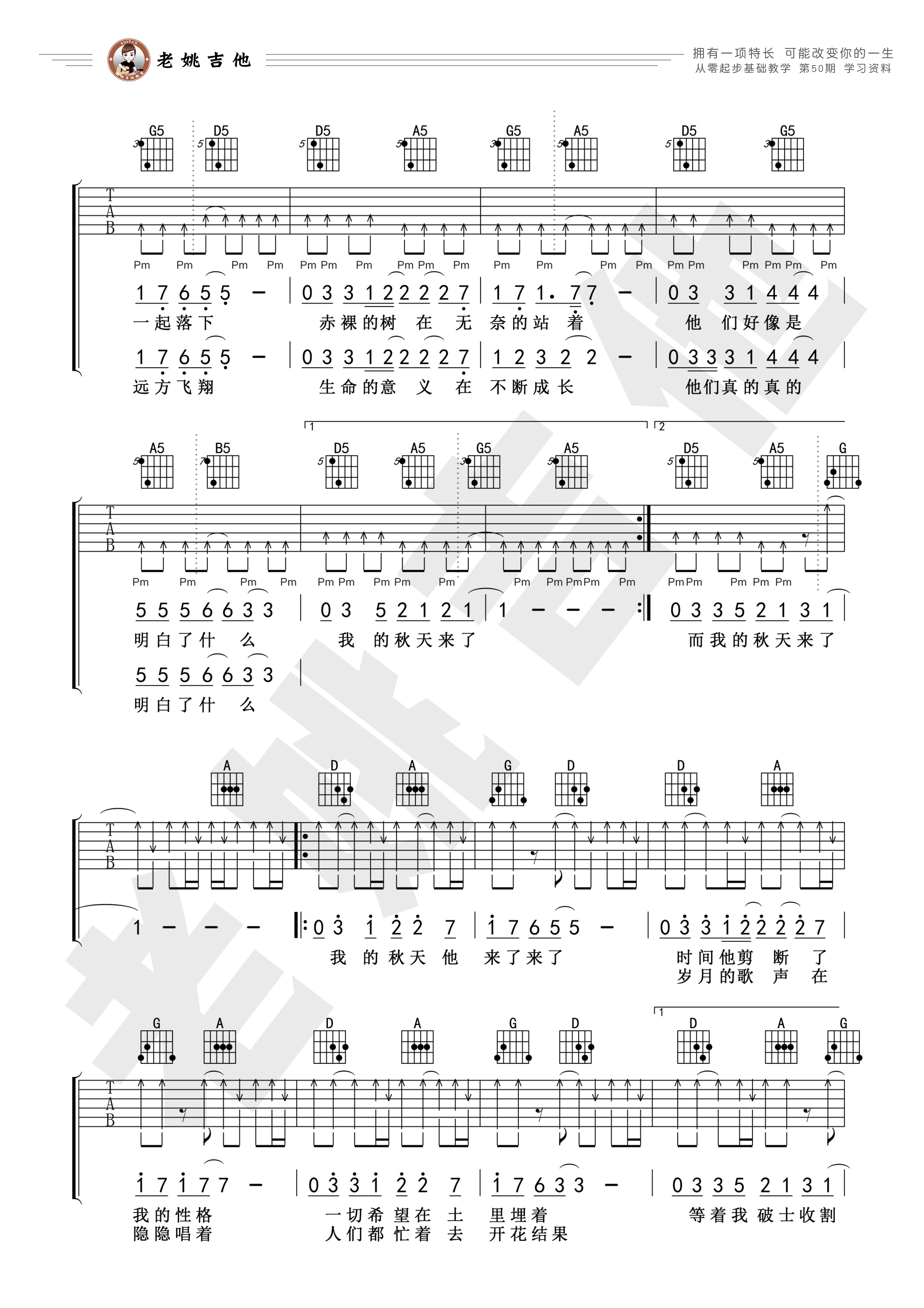 秋天来了（老姚吉他）-C大调音乐网