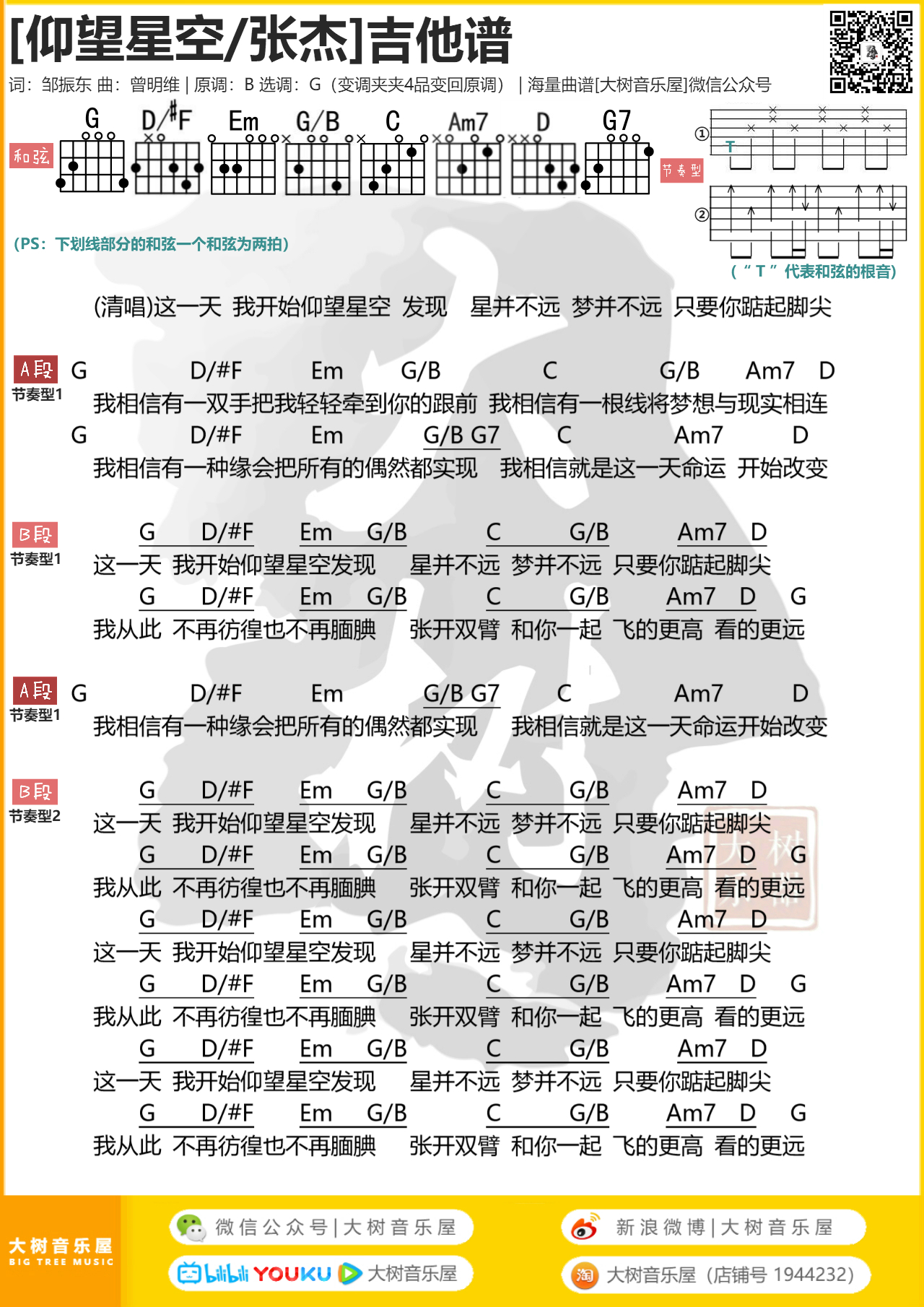 仰望星空（大树音乐屋）-C大调音乐网