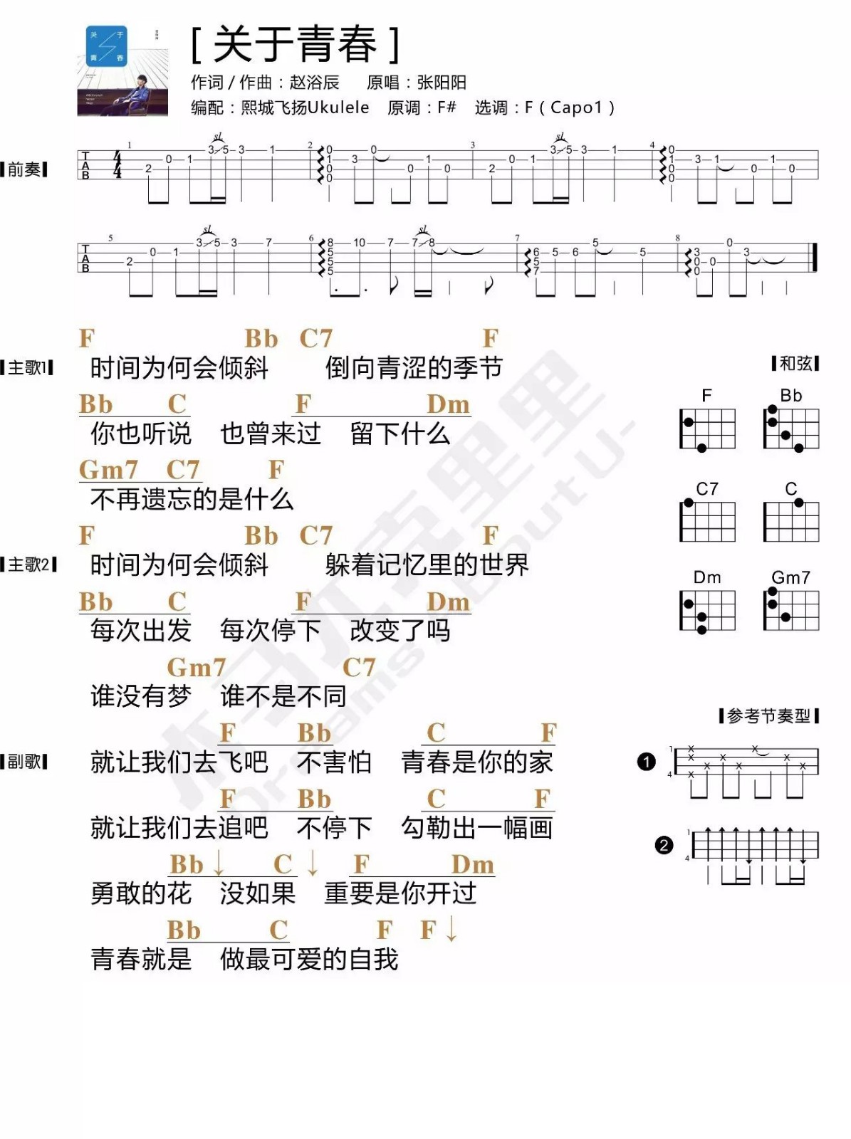 《关于青春》原唱张阳阳 【报告老板】贺岁篇催泪插曲-C大调音乐网