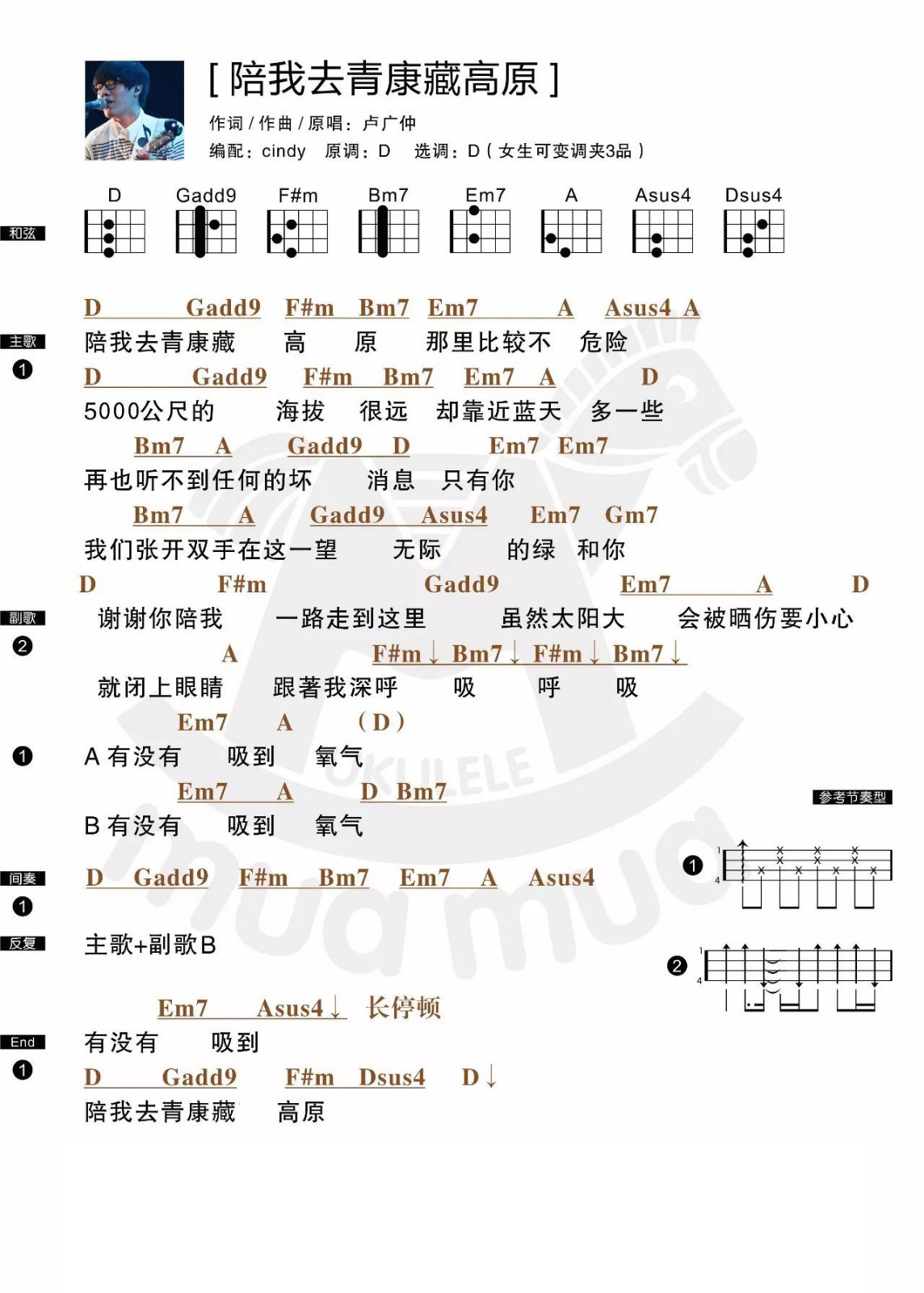 心旷神怡，年终治愈。《陪我去青康藏高原》 卢广仲 尤克里里...-C大调音乐网