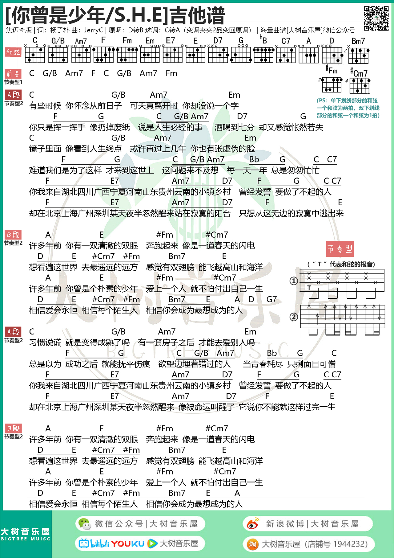 《你曾是少年》S.H.E/焦迈奇-吉他谱-大树音乐屋-C大调音乐网