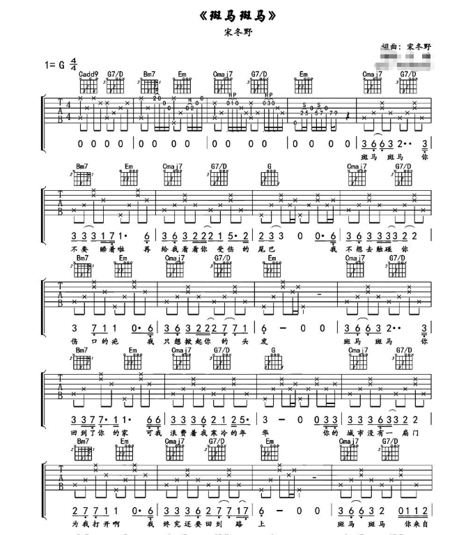 《斑马斑马》宋冬野-C大调音乐网