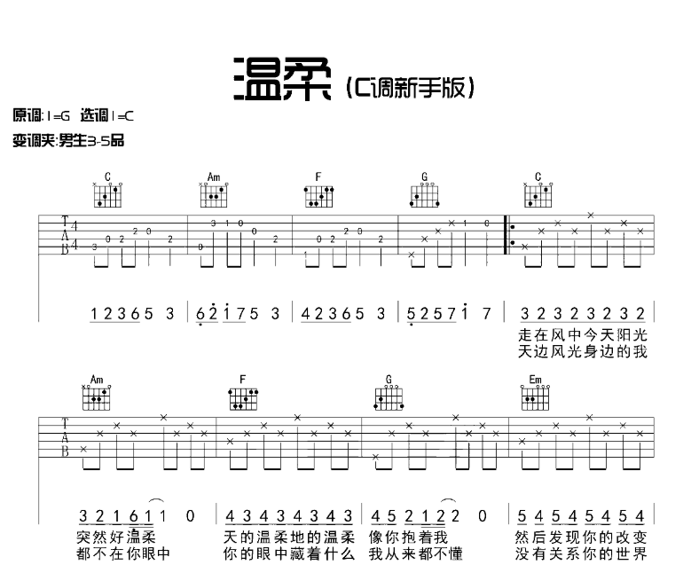 《温柔》-C大调音乐网