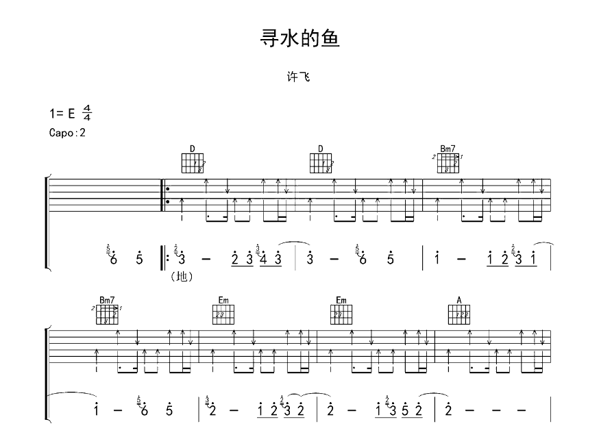 许飞《寻水的鱼》-C大调音乐网