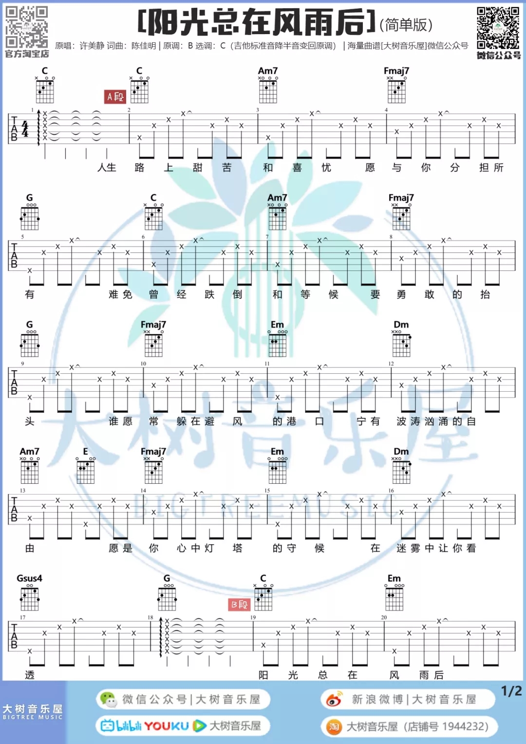 《阳光总在风雨后》吉他谱-C大调音乐网