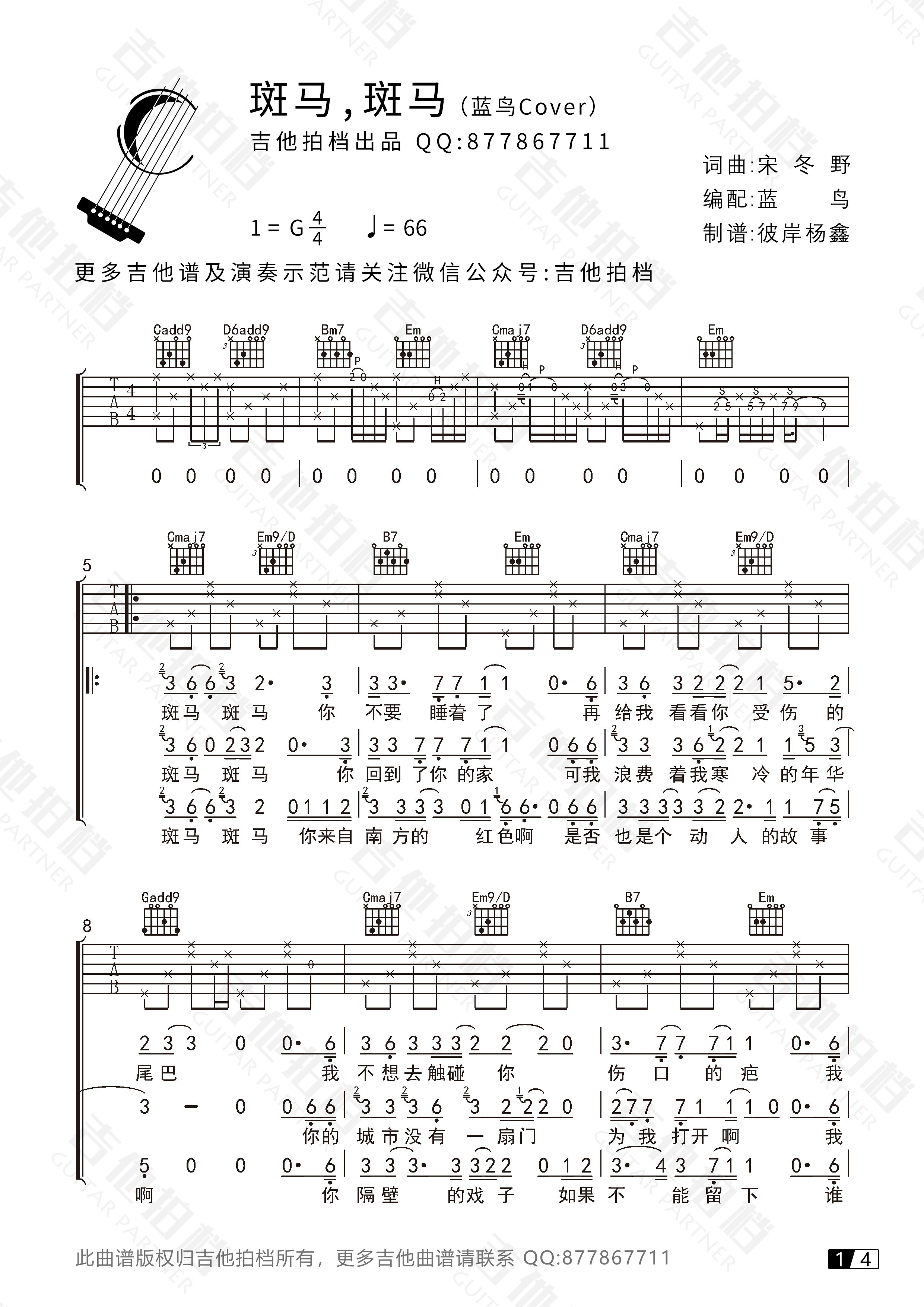 《斑马，斑马(吉他谱+视频演奏示范)》吉他谱-C大调音乐网