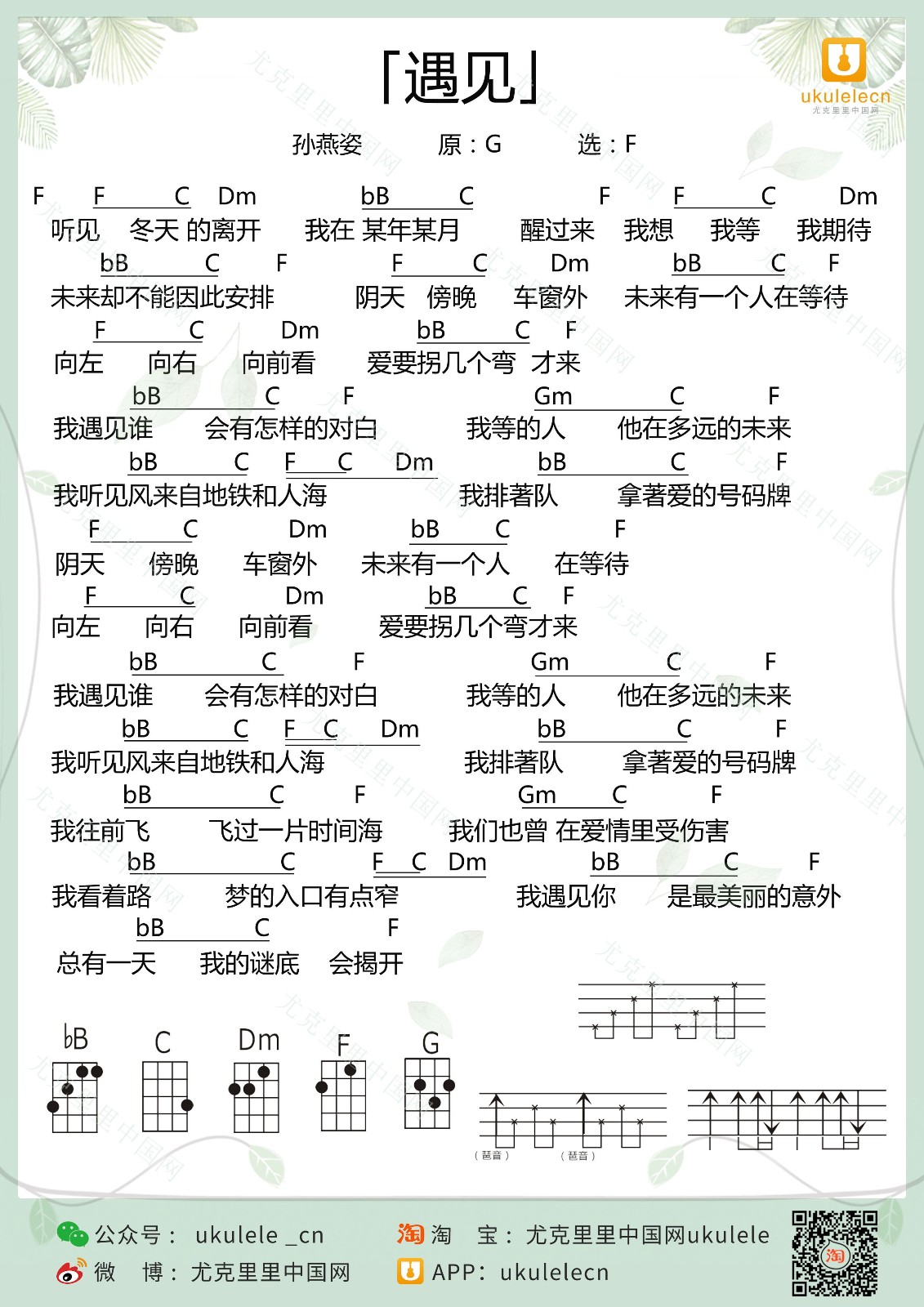 《遇见》尤克里里弹唱谱-C大调音乐网