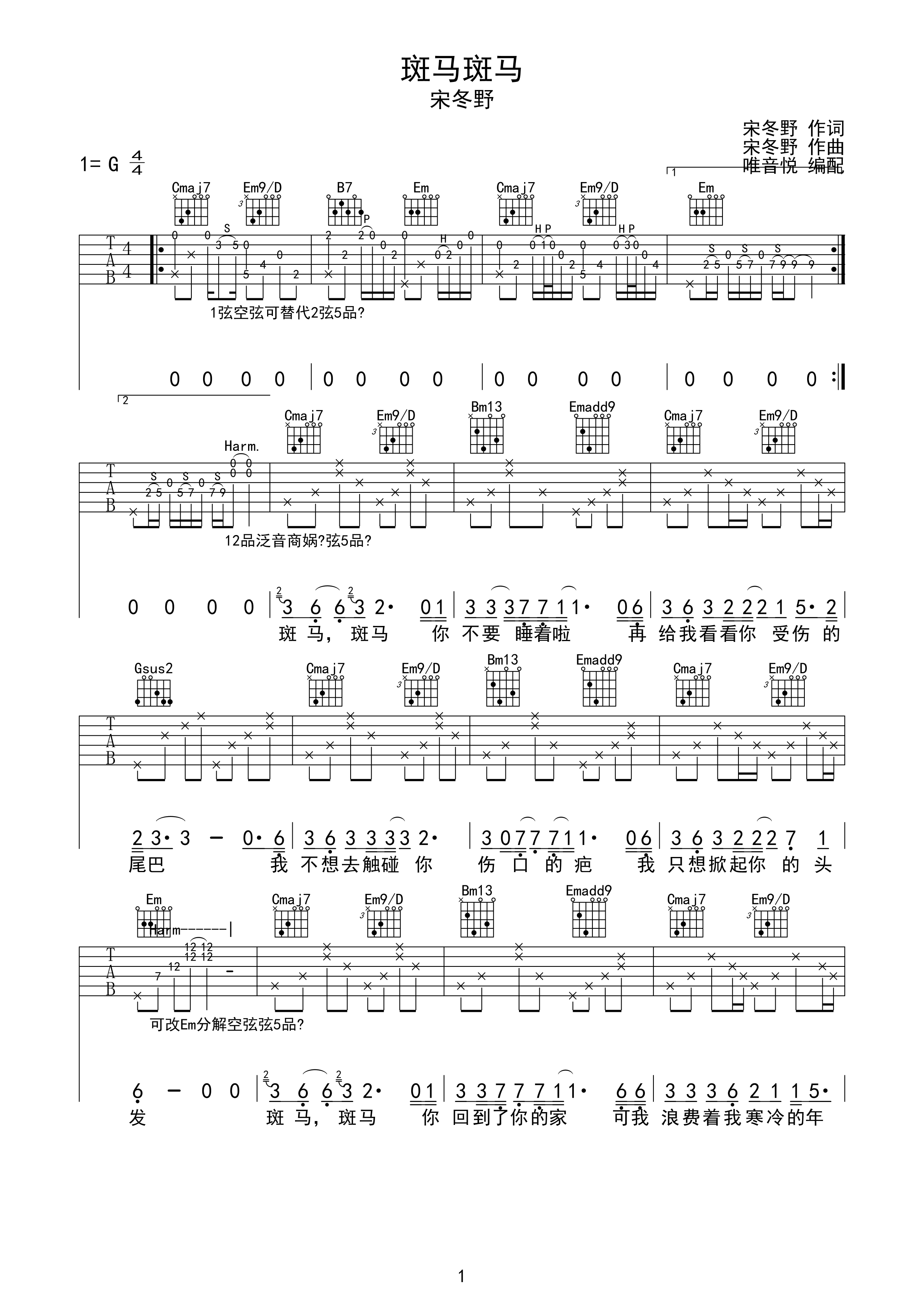 宋冬野《斑马斑马》吉他谱-C大调音乐网