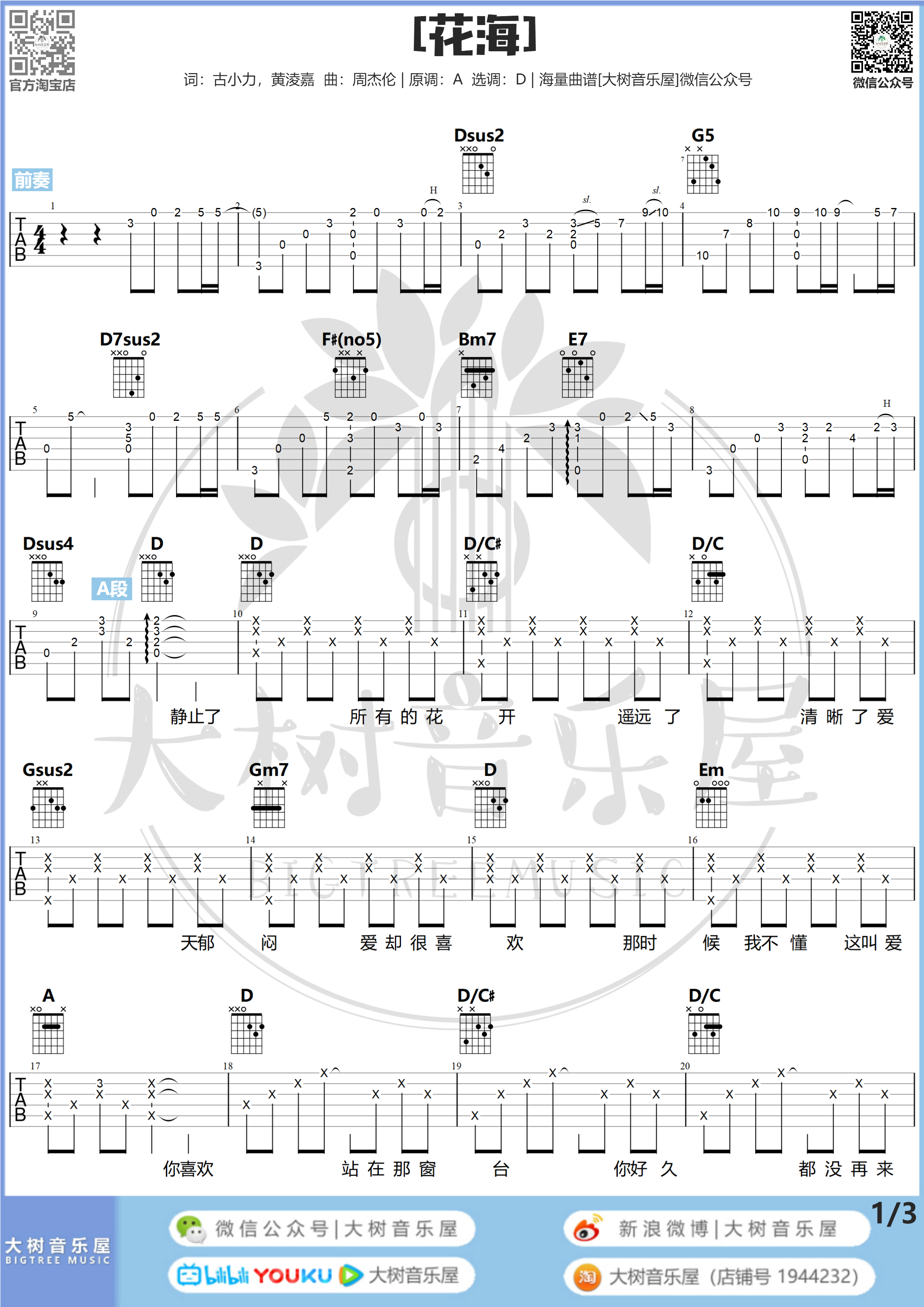 花海（大树音乐屋-D调G调版本）-C大调音乐网