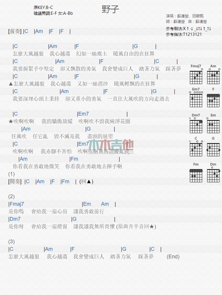 《野子》吉他谱-C大调音乐网