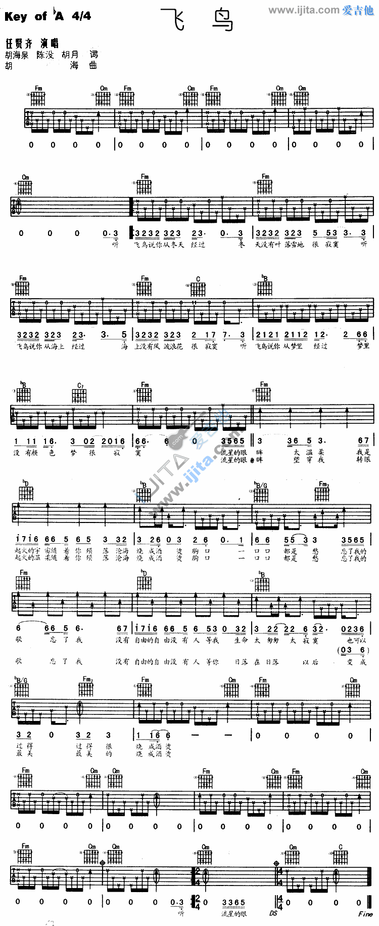 《飞鸟》吉他谱-C大调音乐网
