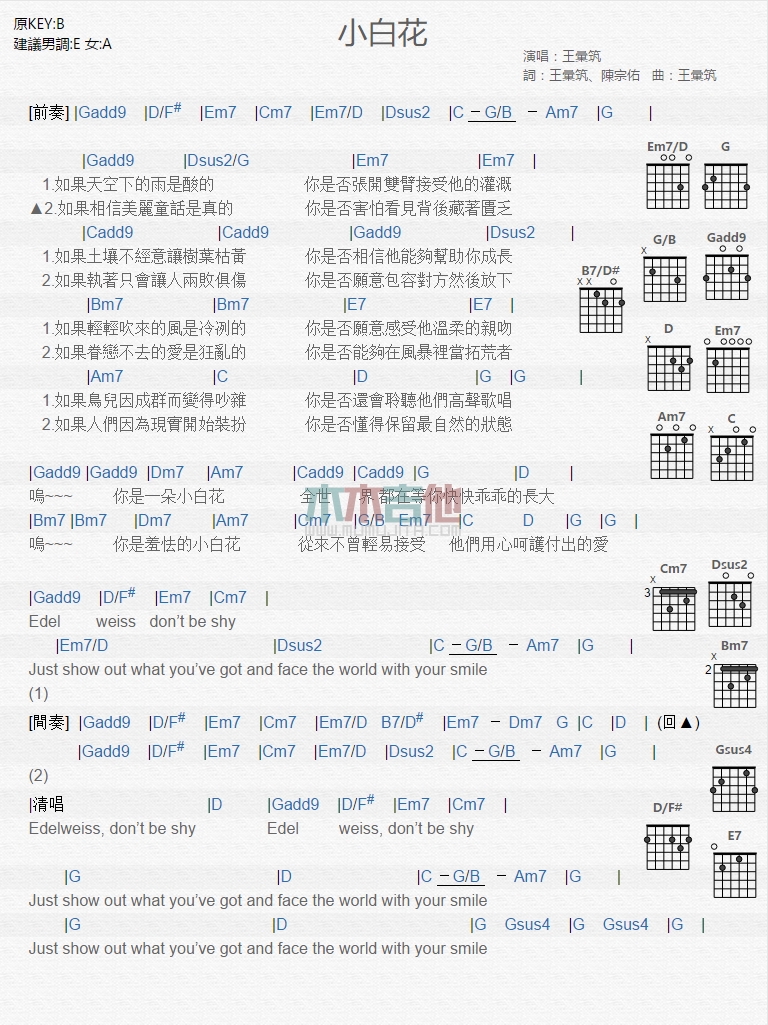 《小白花》吉他谱-C大调音乐网