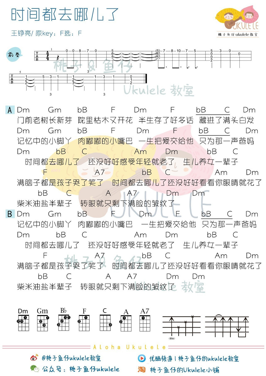 《时间都去哪了》吉他谱-C大调音乐网