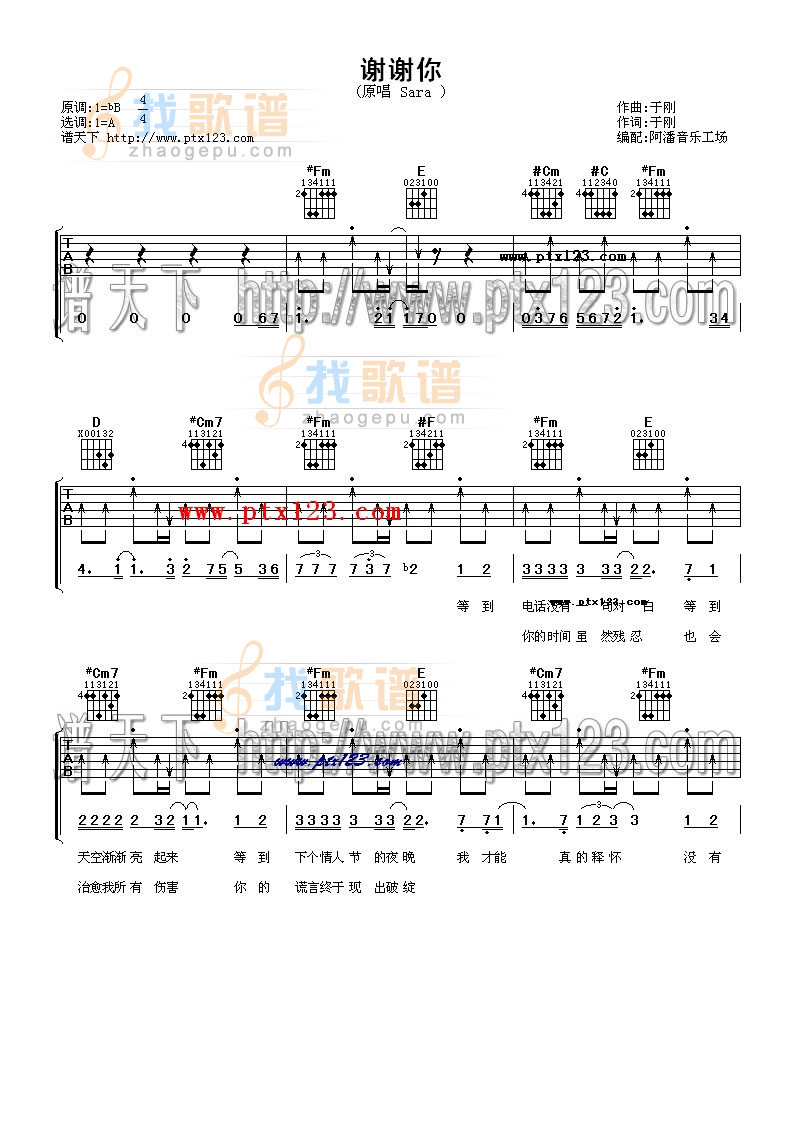 《谢谢你》吉他谱-C大调音乐网
