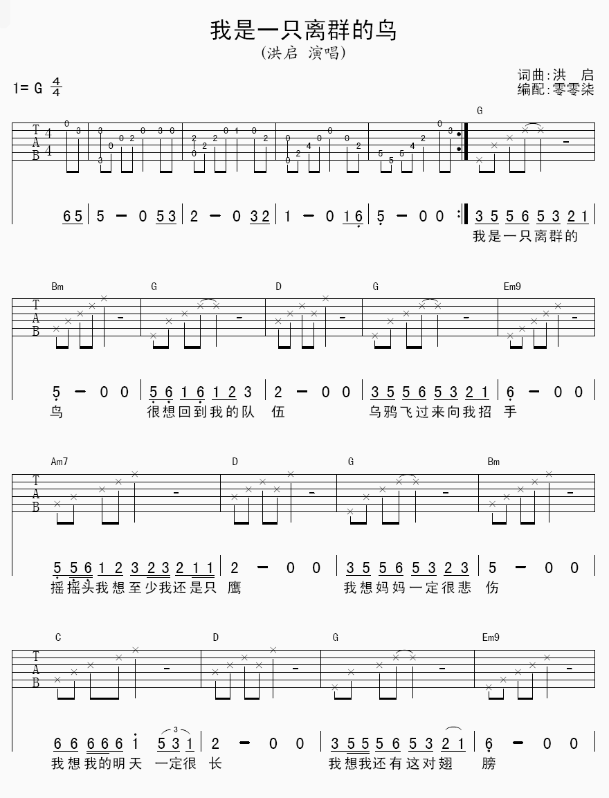 洪启 我是一只离群的鸟吉他谱-C大调音乐网