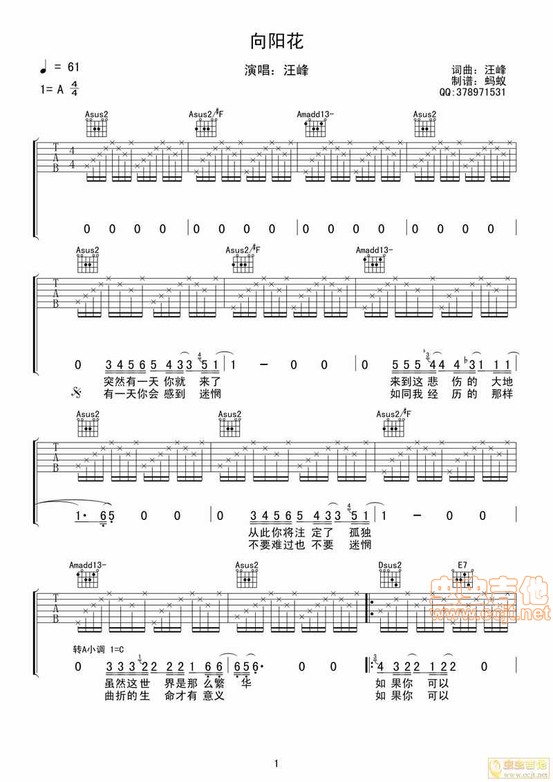 【全网首发】汪峰《向阳花》完整版吉他谱【蚂蚁制...-C大调音乐网