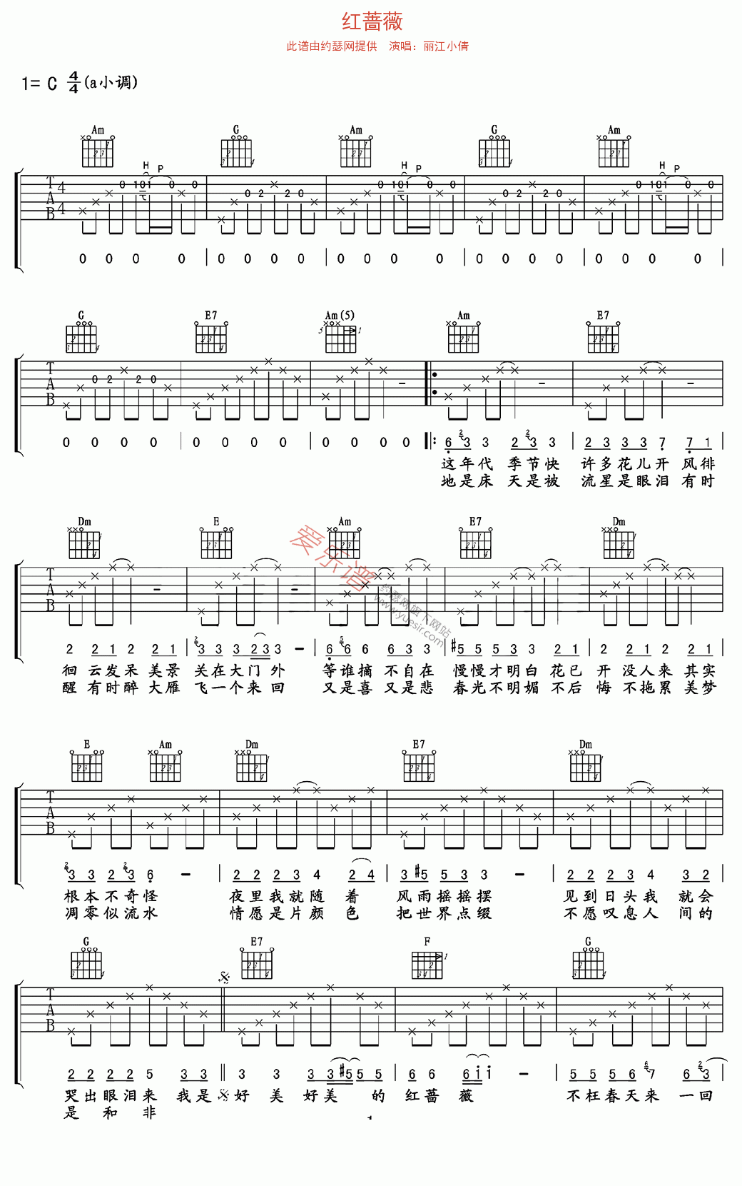 《丽江小倩《红蔷薇》》吉他谱-C大调音乐网