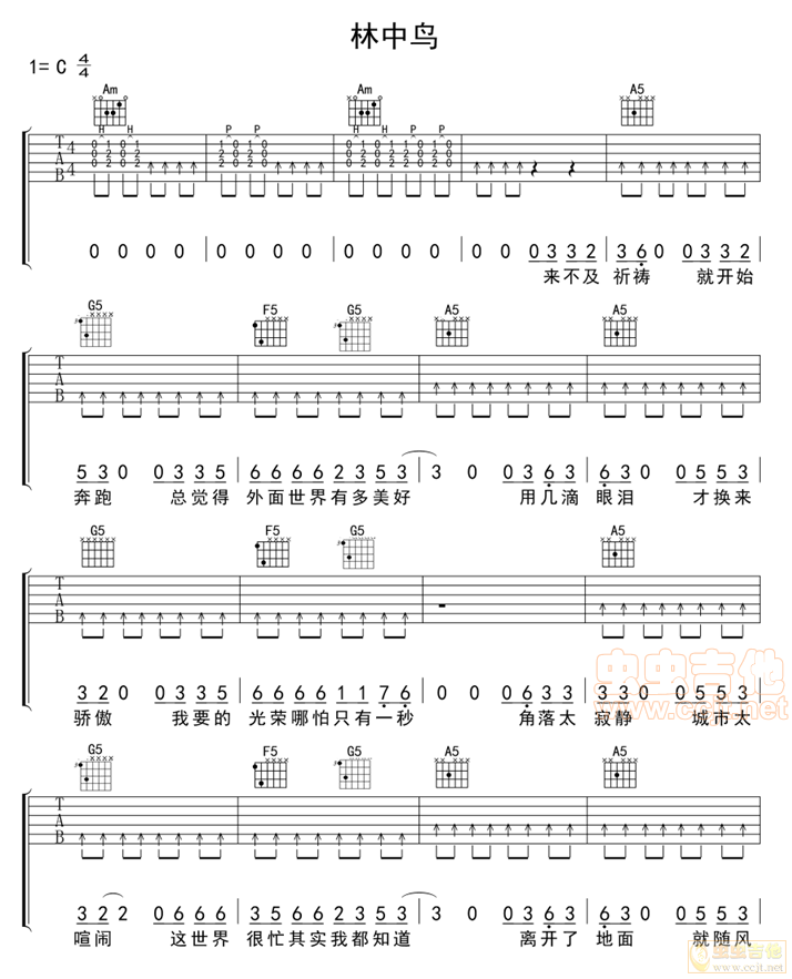 林中鸟-C大调音乐网