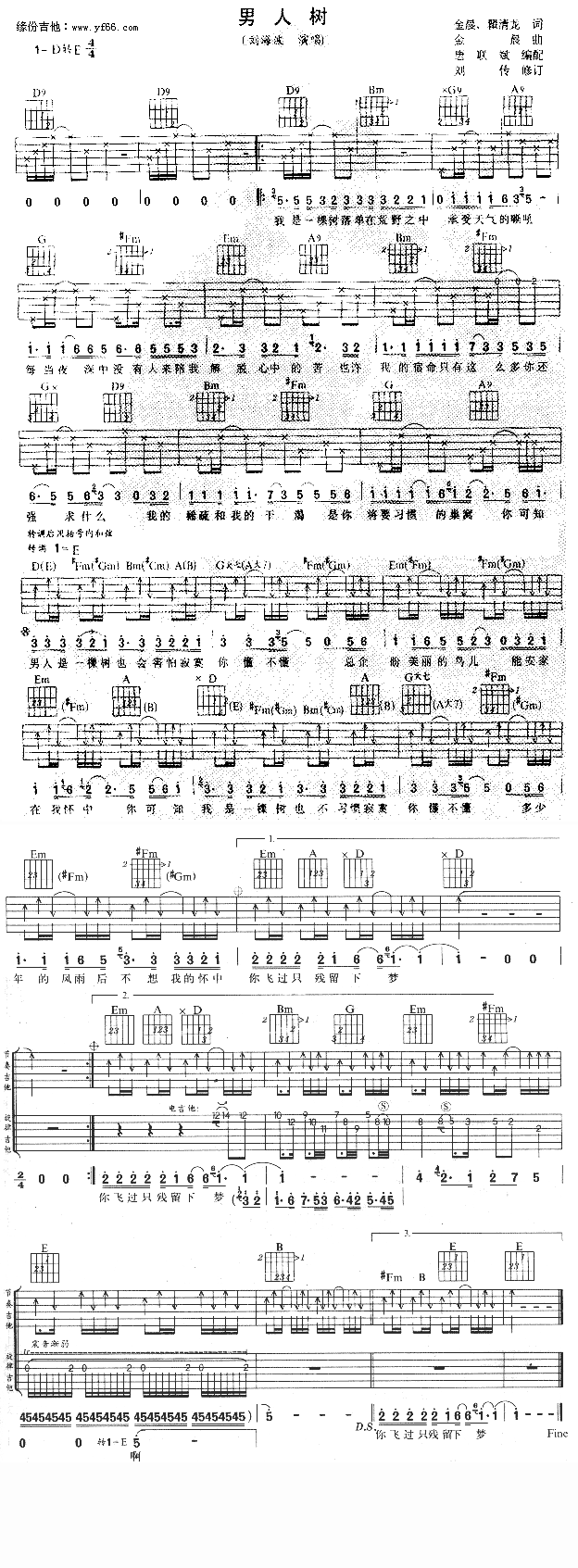 《男人树》吉他谱-C大调音乐网