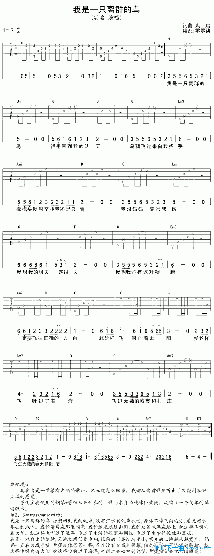 《我是一只离群的鸟吉他谱G调（六线谱）_洪启》吉他谱-C大调音乐网