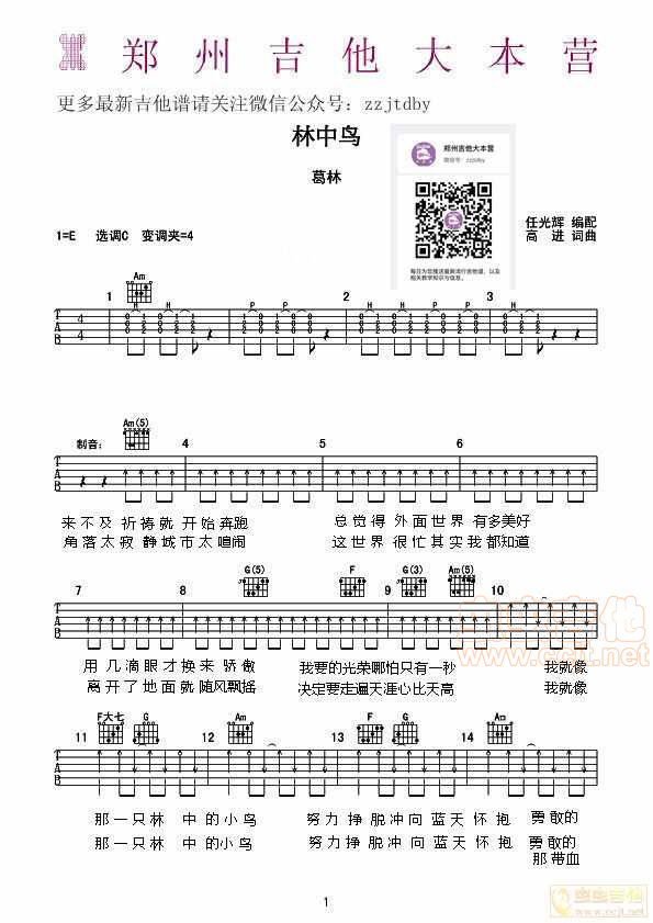 林中鸟 吉他谱-C大调音乐网