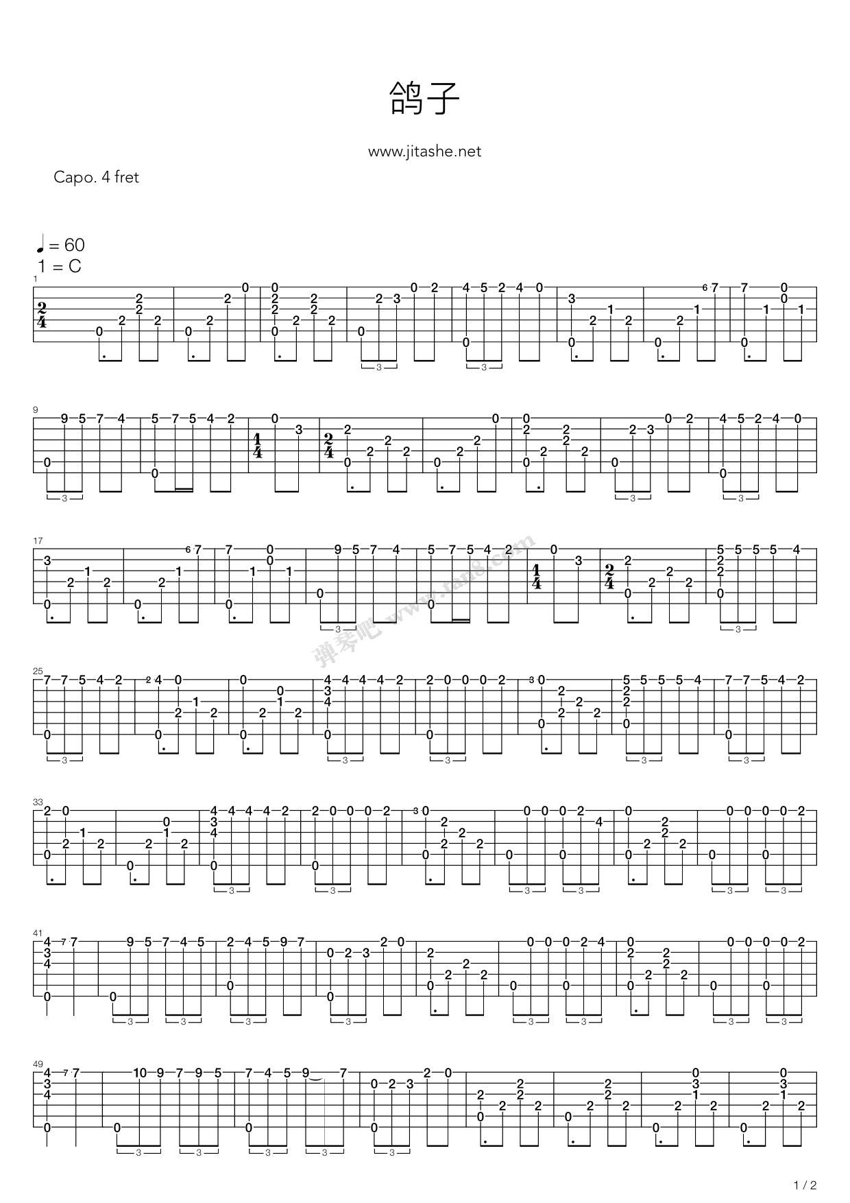 《鸽子》吉他谱-C大调音乐网